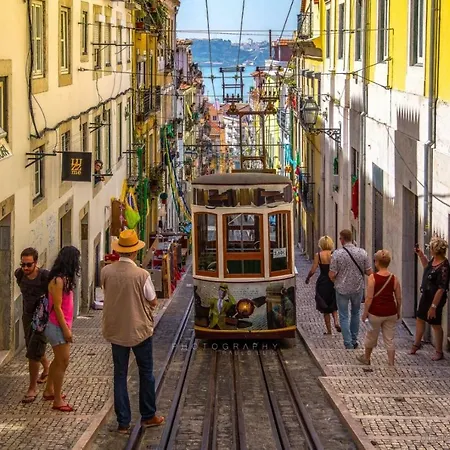 Comfy @ Chiado Appartamento